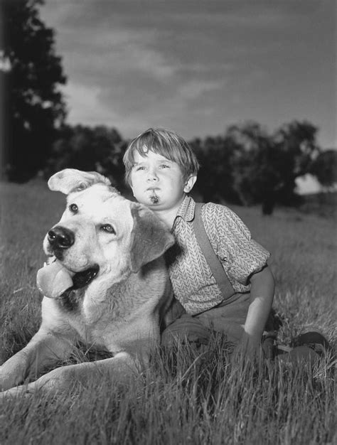 Kevin Corcoran in Old Yeller! | Old yeller, Dog movies, Movies by genre