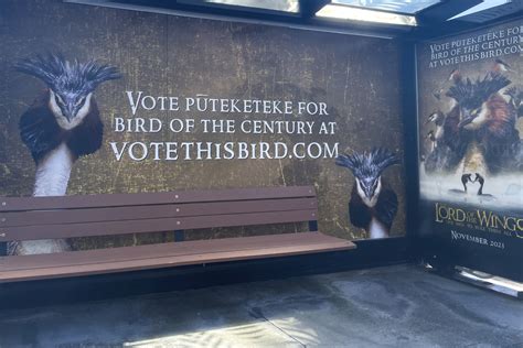 John Oliver delays New Zealand’s vote for Bird of the Century with campaign for the puteketeke ...