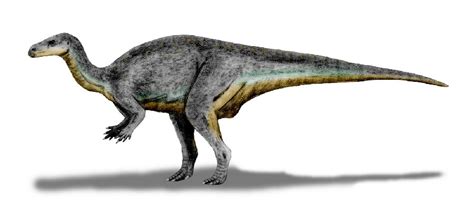 Camptosaurus Pictures & Facts - The Dinosaur Database