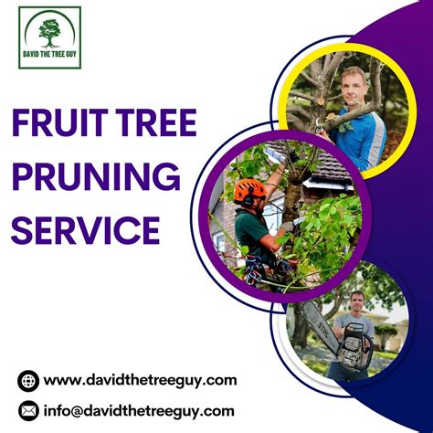 Fruit Tree Pruning Service - David The Tree Guy - Medium