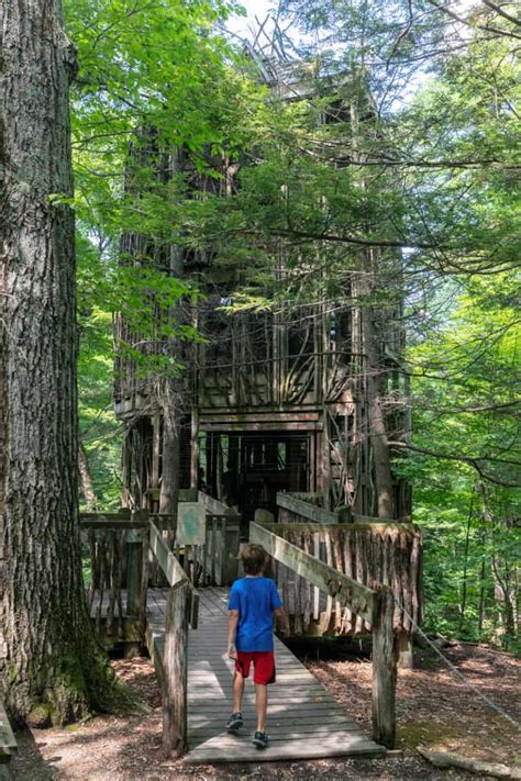 Hiking to the Six-Story Treehouse at the Cayuga Nature Center Near ...