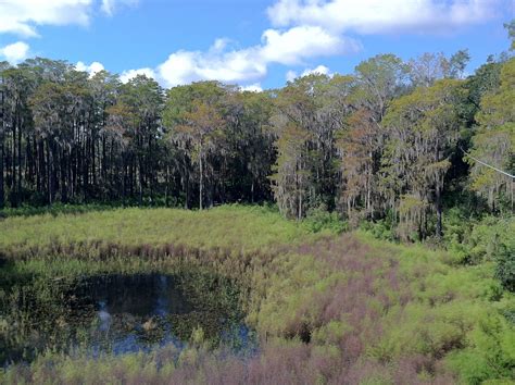 The Tree-to-Tree Adventure at Tallahassee Museum - The World of Deej