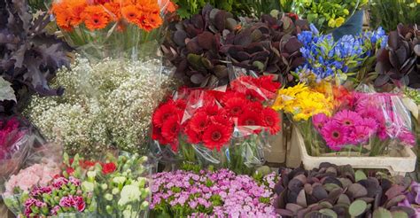 How to Store Wholesale Flowers - Floral Care 101