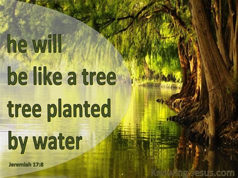 8 Bible verses about Water For Plants