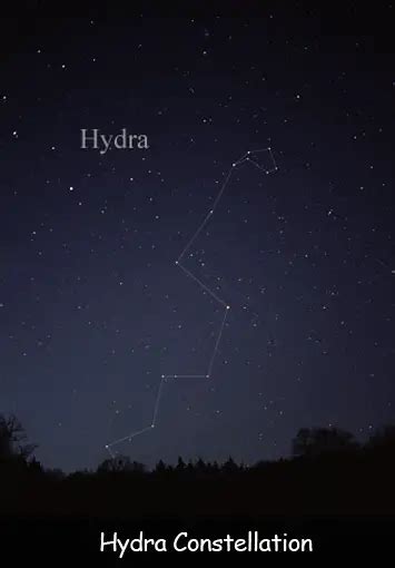 Fun Facts for Kids about Hydra Constellation