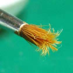 newtonian gravity - When drying paint brushes washed with water, which ...