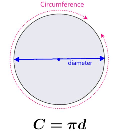 Circumference of a Circle - Formulas and Examples - Neurochispas