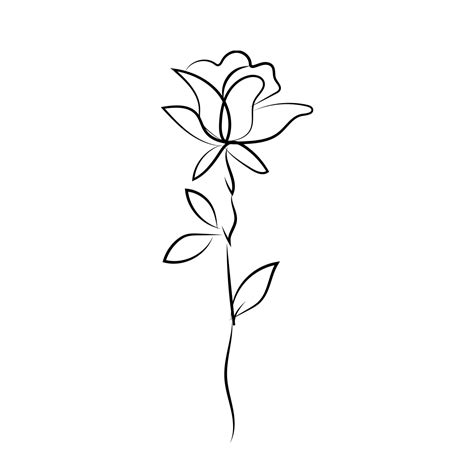 Rose Line Art, Rose Drawing, Rose Sketch, Line Art PNG and Vector with ...