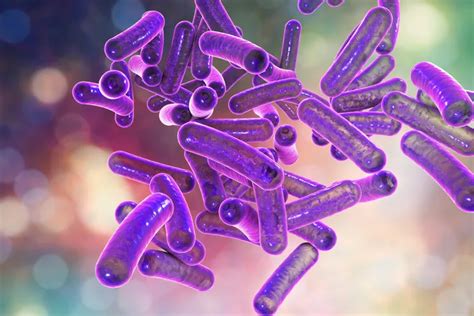 Shigella: Symptoms, Causes, Treatment, and Prevention – ActiveBeat ...