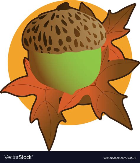 Acorn graphic Royalty Free Vector Image - VectorStock