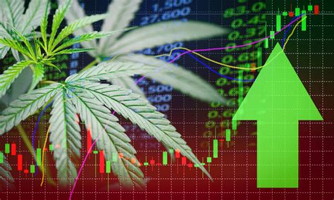 Why Aurora Cannabis Stock Is Flying High Today | The Motley Fool