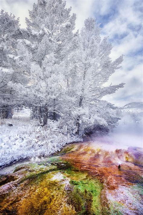 Winter in Yellowstone - Photorator