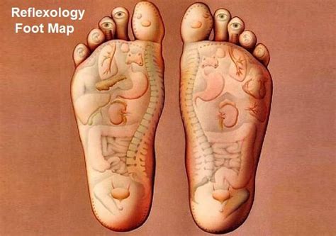 Reflexology Foot Chart