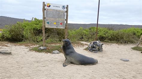 Discovering the wonderful San Cristóbal Island in the Galapagos