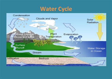 Learning Experiences: Water Cycle.