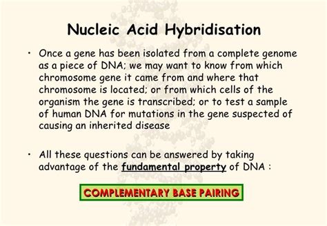 Nucleic Acid Hybridisation & Gene Mapping