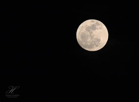 Full Moon Night Photography Print Moon Wall Hanging Astronomy Print Fine Art Photography Canvas ...