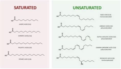 CH 11 + 12 Alkane properties, Functional groups, alcoholos Flashcards | Quizlet