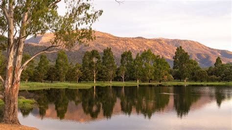 Official Visitor Information Centre in Myrtleford, Victoria