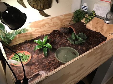 Proud of my new DIY tortoise enclosure for my baby girl : r/aww