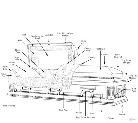 Parts of A Casket - Complete Guide + Terms + Study Resources