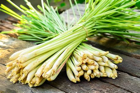 Lemongrass Benefits - List of Health Benefits from Lemongrass / "Tanglad"