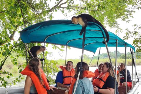 Monkey Island & Eco Cruise Tour inside the Panama Canal in Panama