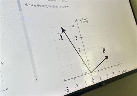 Solved What is the magnitude of vector B ? | Chegg.com