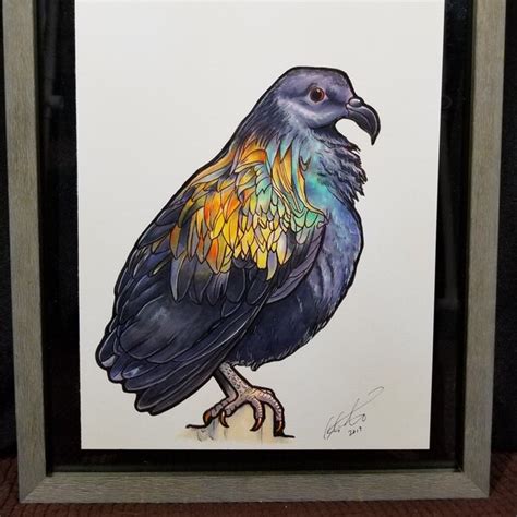 Nicobar Pigeon - Etsy