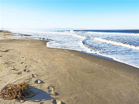 Pajaro Dunes Beach Photograph by Richard Thomas