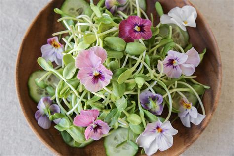 Growing Edible Flowers Australia - 7 Edible Flowers You Your Veggie Patch Will Love The Healthy ...