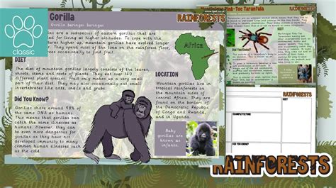 Teacher's Pet » Rainforest Animal Non-Chronological Report Activity