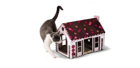 aldi cat house valentine's day - Jolyn Prado