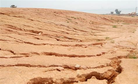 Soil Erosion – The Causes, Effects & Solutions