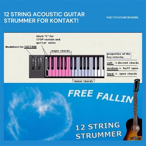 Bonus: FREE FALLIN 12-String Acoustic Guitar STRUMMER - Archyde