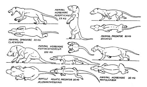 Palaeos Cenozoic: Paleocene: The Paleocene Epoch