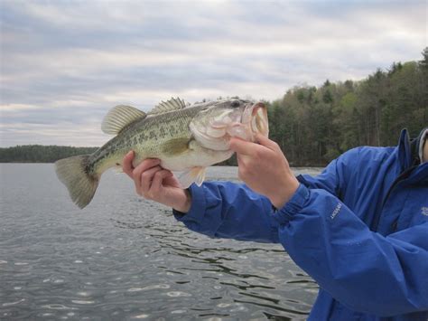 mrvaguefishmusic: Lake James Fishing in the Wind