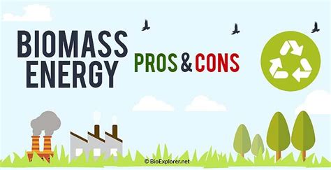 Top 20 Biomass Energy Pros and Cons | Biology Explorer | Biomass energy, Biomass, Energy