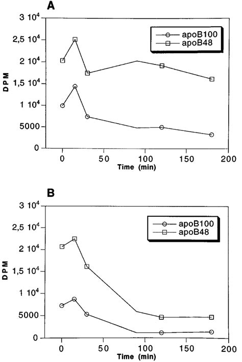 Turnover of apoB-100 and apoB-48 in the microsomal membrane of ...