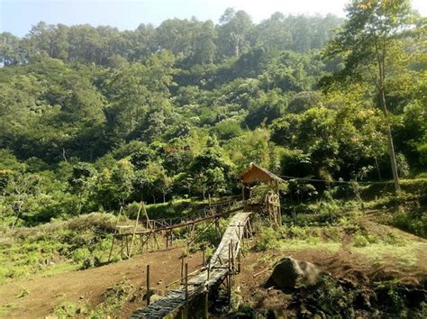 Pesona Taman Hutan Raya Ir. H. Djuanda Bandung – Ragamwisata