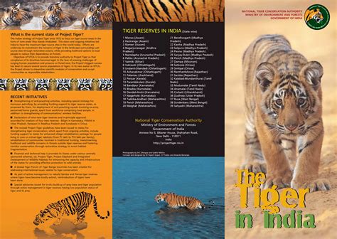 Tiger project | PPT