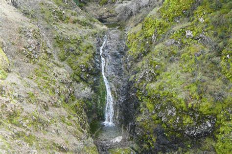 Falls Trail Loop (Mount Diablo State Park, CA) | Live and Let Hike