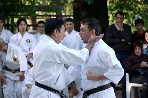 Goju Ryu Vs Shotokan: Which is Better? (Self Defense, Training..)