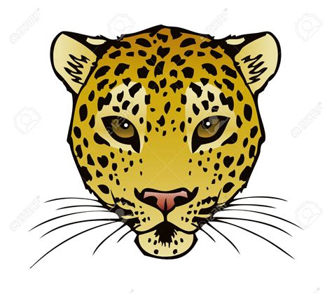 Cheetah clipart face, Cheetah face Transparent FREE for download on WebStockReview 2024