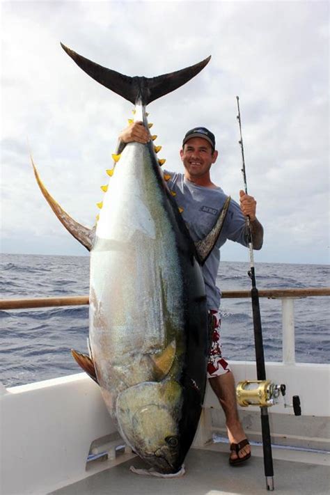 10 of the Biggest Yellowfin Tuna Catches | Sport Fishing Mag