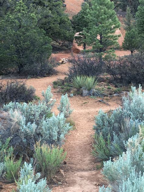 Red Canyon Campground | Panguitch, UT