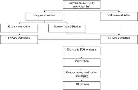 Schematic overview of enzymatic fructooligosaccharide (FOS) synthesis ...