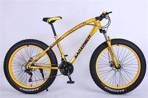 Mountain Bike Fat Tyre Cycle at Best Price in Surat | Gapuchee Bikes