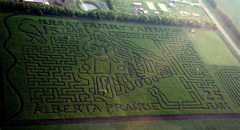 Lacombe Corn Maze Alberta | Kraay Family Farm