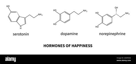 Hormones of happiness - serotonin, dopamine, norepinephrine. Formula of neurotransmitter. Brain ...